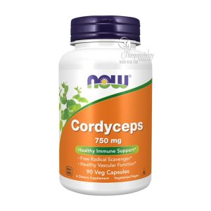 Đông trùng hạ thảo Now Cordyceps 750mg của Mỹ 90 viên