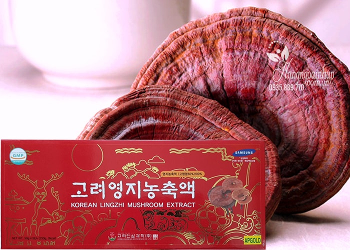 cao-linh-chi-han-quoc-korean-lingzhi-mushroom-extract-250-g-2-min Cao linh chi đỏ Hàn Quốc Korean Lingzhi Mushroom Extract, hộp 5 lọ