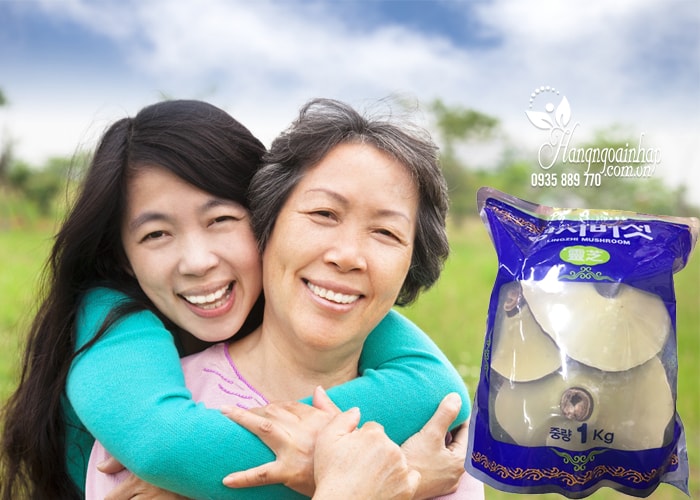 nam-linh-chi-lingzhi-mushroom-han-quoc-1-kg-3 Nấm linh chi túi xanh Hàn Quốc Lingzhi Mushroom 1kg