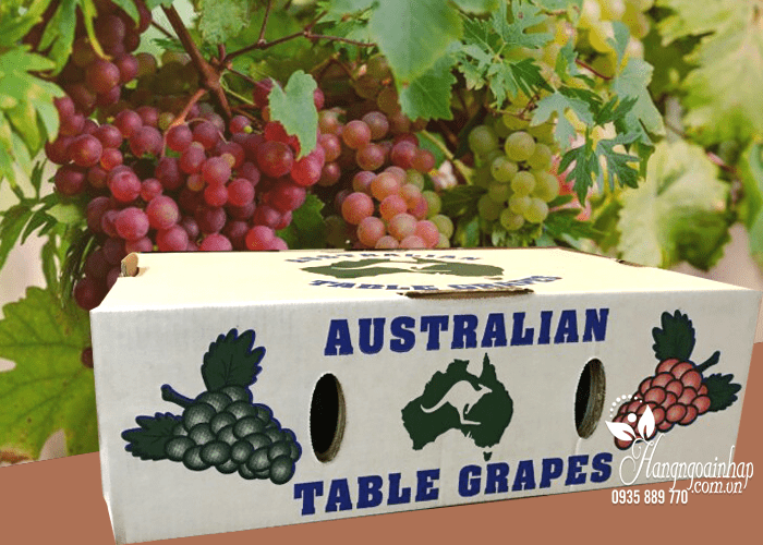 nho-kho-nguyen-canh-table-grapes-thung-4kg-cua-uc-1 Nho khô nguyên cành Table Grapes thùng 4kg của Úc