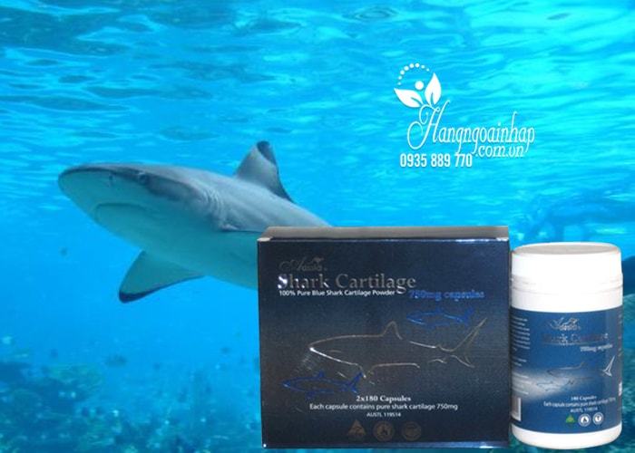 sun-vi-ca-map-uc-shark-cartilage-aussia-750-mg-2-x-180-vien-1 Sụn vi cá Mập Aussia Shark Cartilage 750mg 2 lọ x 180 viên của Úc